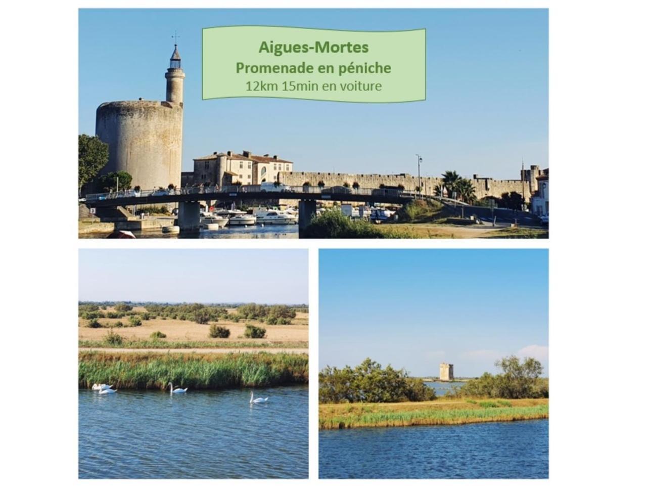 T2 Traversant Familial Cap Sud Parking Plages - Rossiconciergerie - Linge En Option La Grande-Motte Zewnętrze zdjęcie